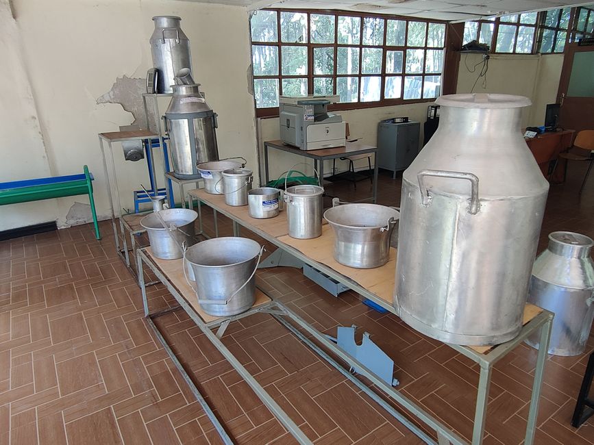 Hawassa, travailler au SELAM