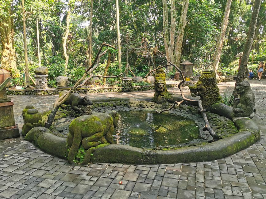 Excursión de un día a Ubud y Tegallalang