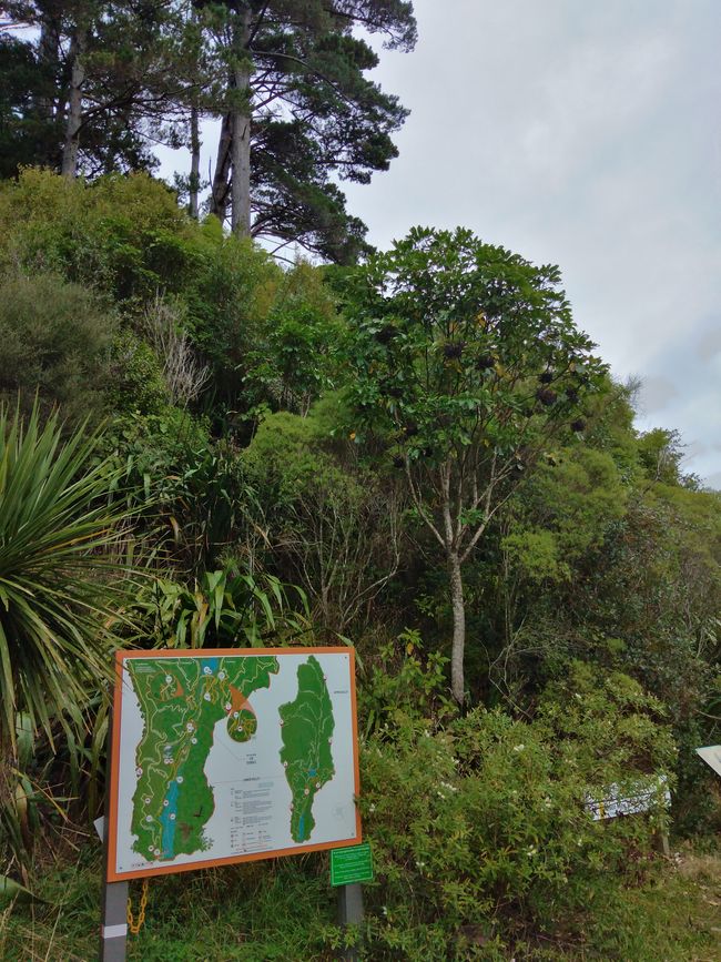 Wellington Zealandia Sanctuary