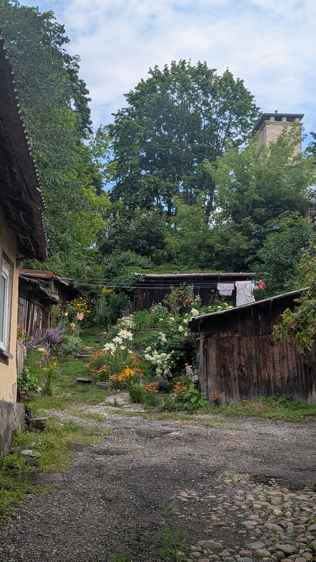 Hinterhofcharme