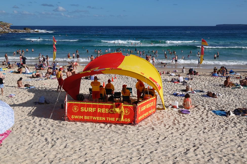 Le baie e le spiagge di Sydney ....