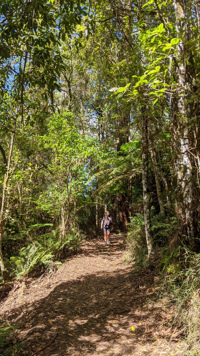 Tarra Bulga & Raymond Island