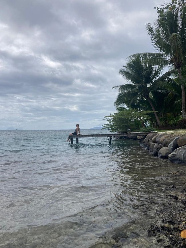 Willkommen im Paradies // welcome to paradise