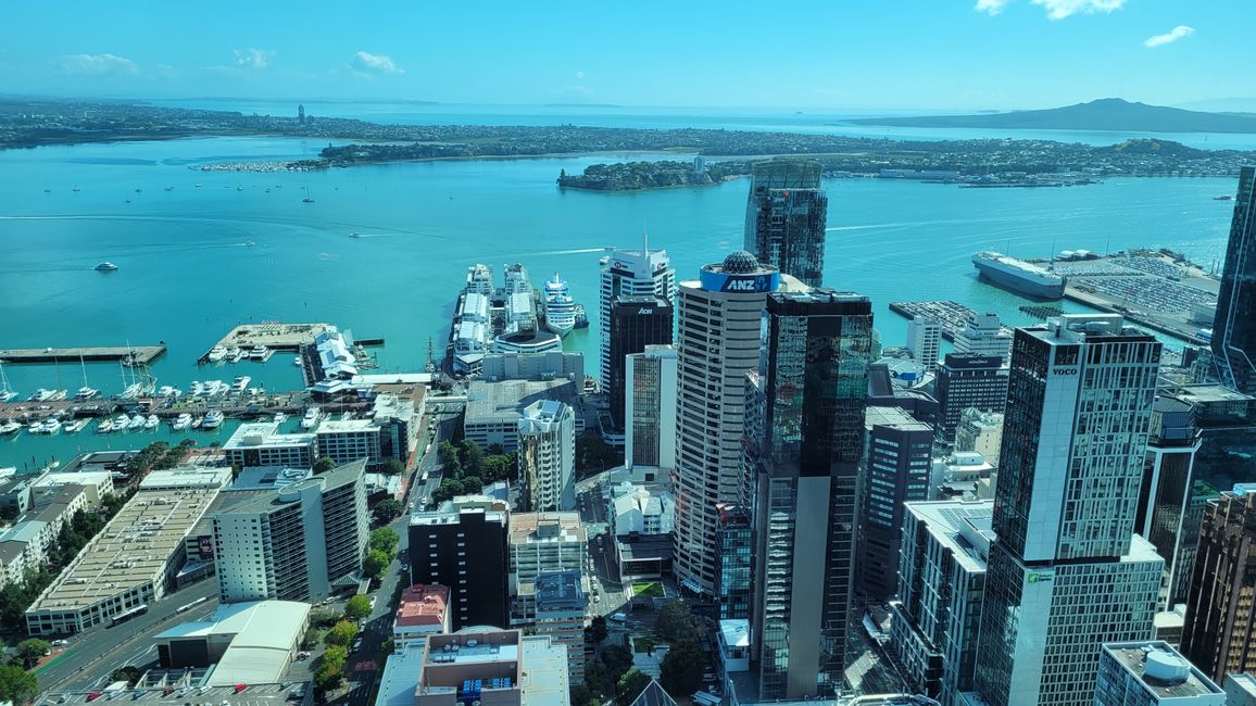 January 29 - February 27, 2025 New Zealand
January 24
