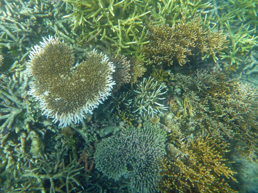 Misool, Westneuguinea, Indonesien, Insel-Ausflug