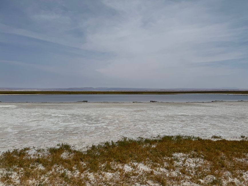 Laguna Cejar y Piedra - qui si poteva nuotare in un lago salato