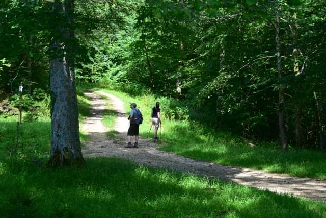 * * * Wacholderhain und Felsgesicht: eine Wanderung in der wilden Schönheit des Lochenpasses * * *