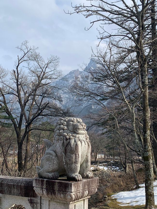 Sokcho & Parc National de Seoraksan