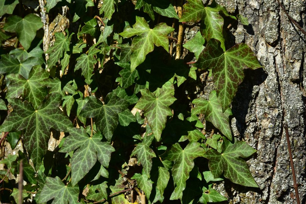 R E I T E R L E S   K A P E L L E - Wallfahrt, Legende und Wanderparadies