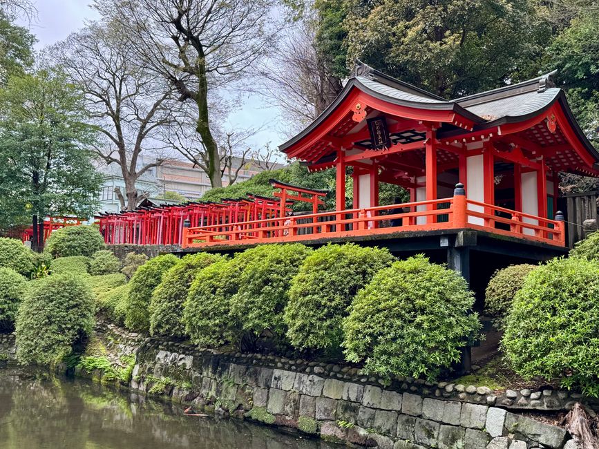 Parte 7
BENVENUTO IN GIAPPONE 🇯🇵
TOKYO