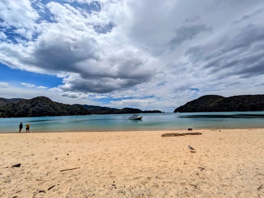 Mit dem Kajak raus auf die Sandy Bay im Abel Tasman-NP