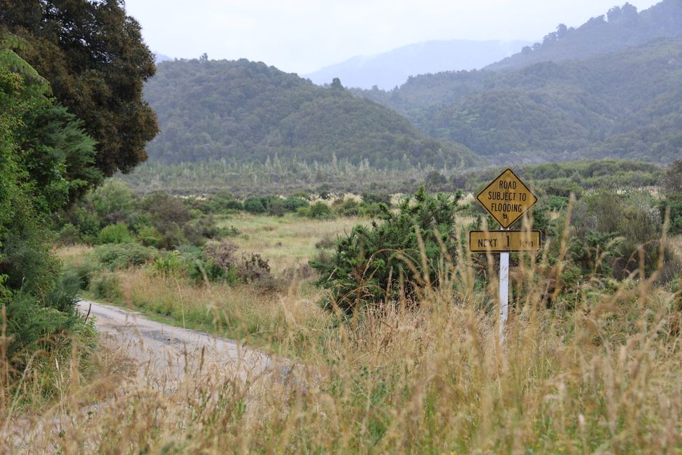 Abel Tasman
