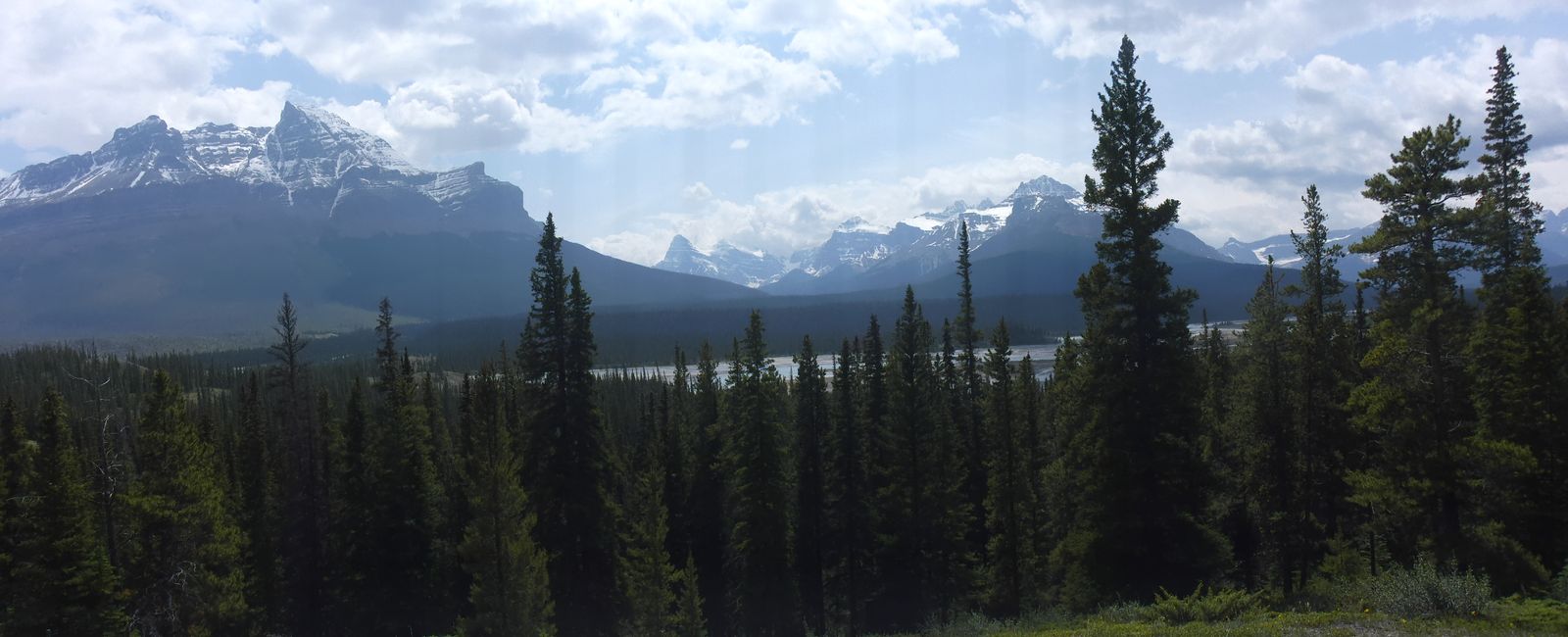 2025-06-19 sur l'Icefields Parkway de Jasper à Lake Louise, CA