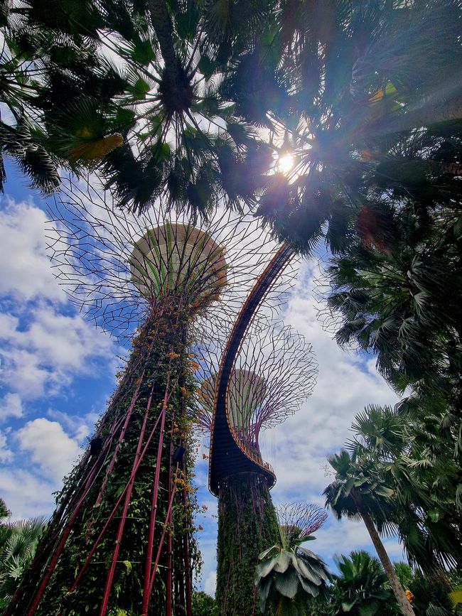 Gardens by the bay