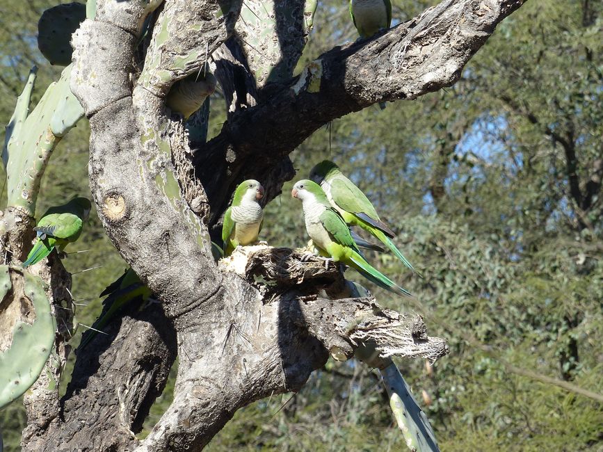 Argentina, from Cordoba to Paraguay