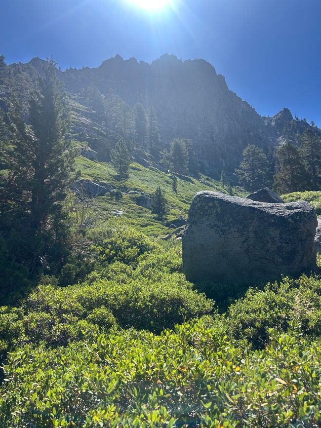 Tag 6 - Letzter Tag am Lake Tahoe