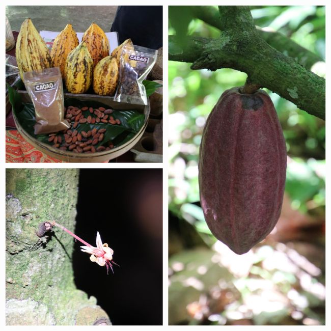 Etiqueta 9: De Java a Bali