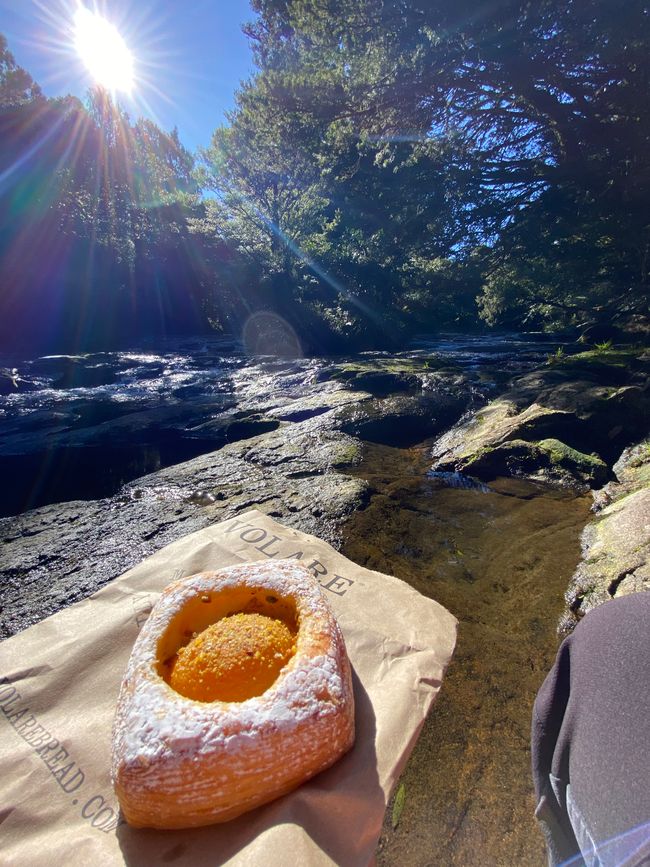 Cascate di Wairere - Area picnic