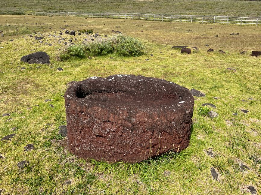 Molti Moai avevano cappelli rossi, in contrasto con i corpi neri