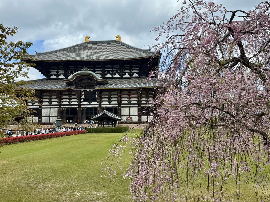 Part 8 Japan 🇯🇵 Kanazawa