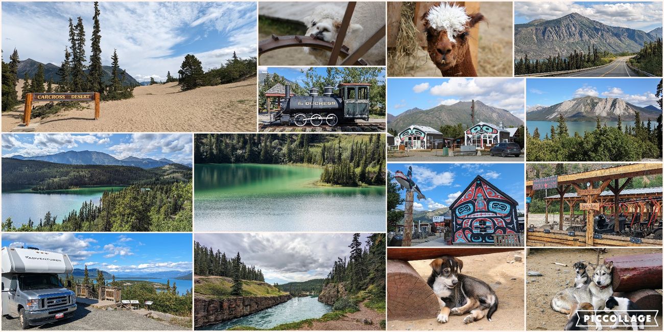 Tag 21: Marsh Lake - Carcross - Conrad Campground