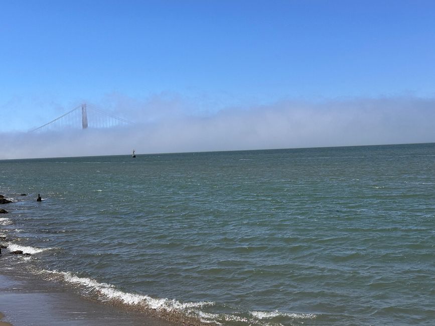 Crissy Field Beach 