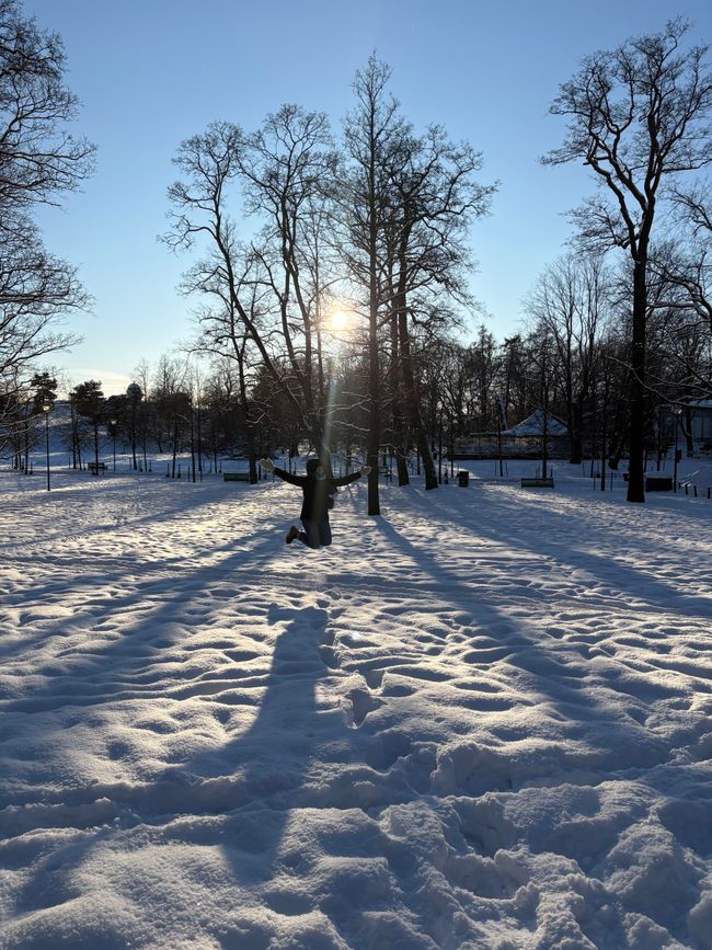 Nordische Kälte und finnisches Lokalkolorit