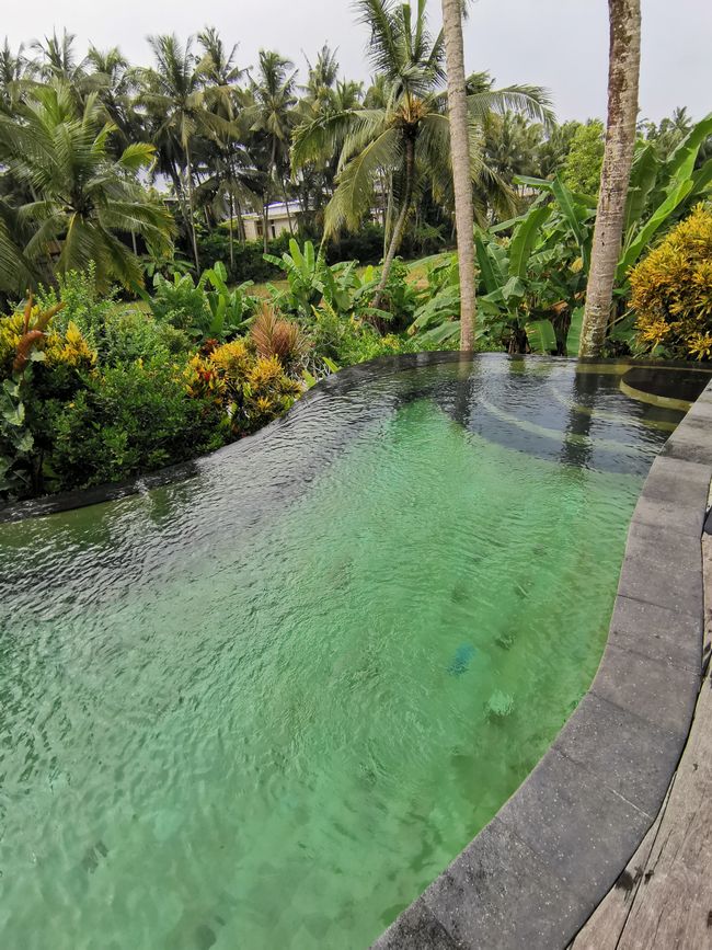 Bali - Reisfelder und Surfhotspot