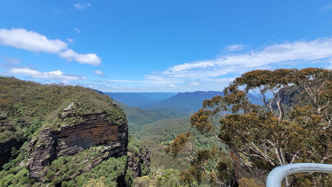 Blue Mountains – Eukalyptusbäume locken nicht nur Koalas an
