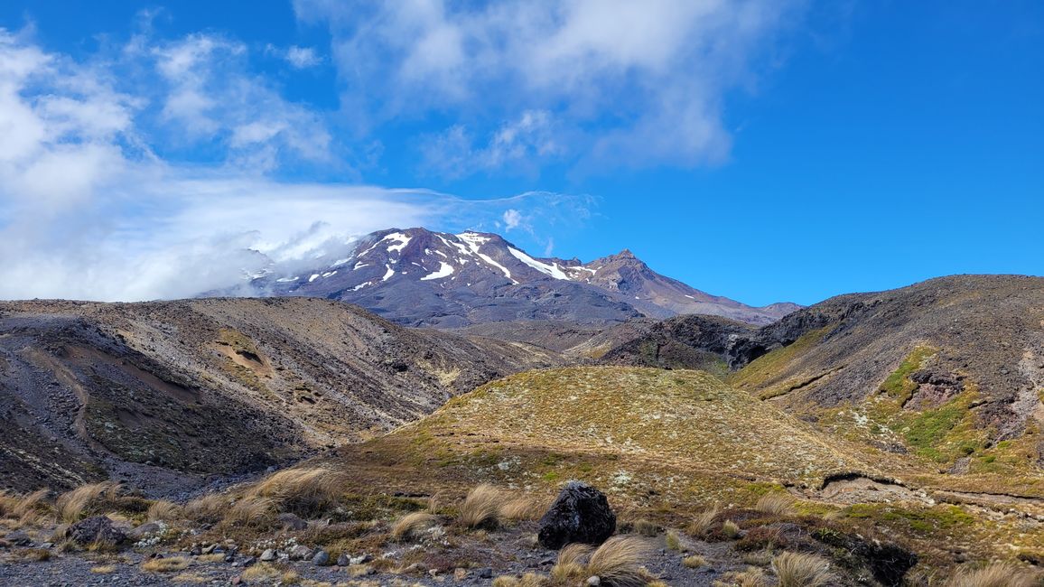29.Januar-27.Februar 2025 Neuseeland
18.Februar