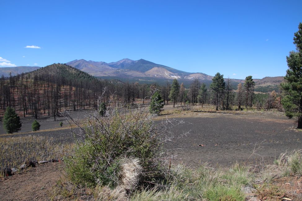 Vista sobre las montañas