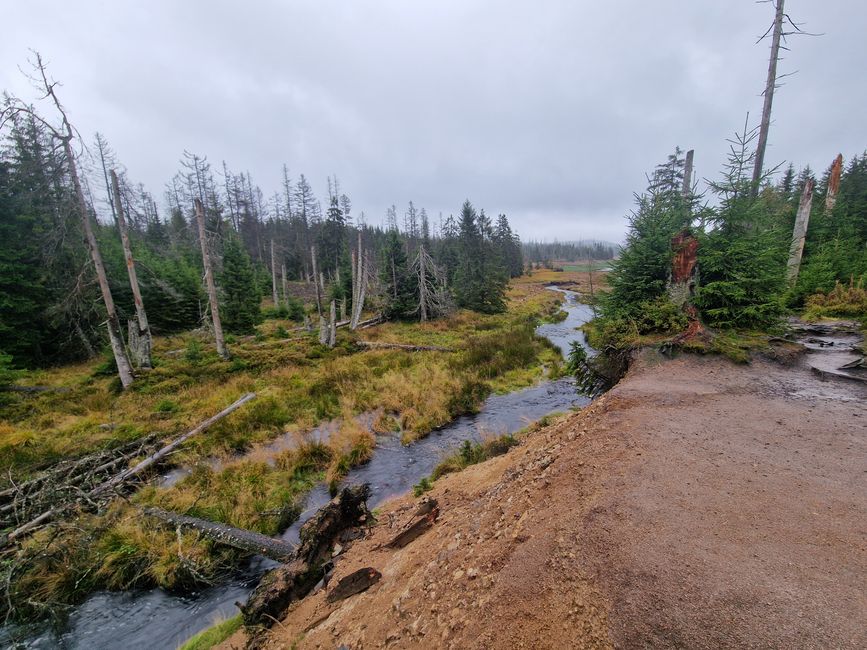 Breve viaggio nel Harz