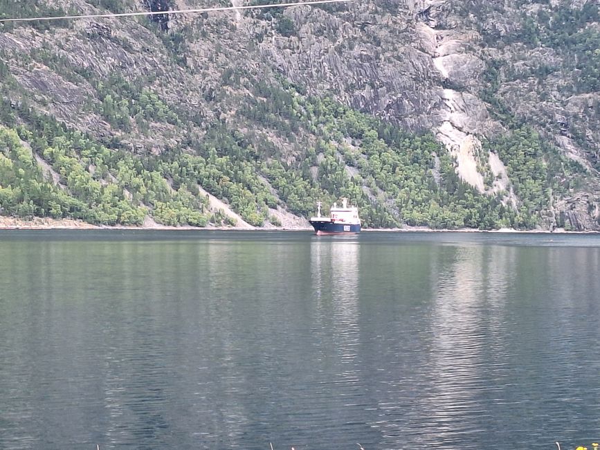 Frachter am Laerdalsfjorden