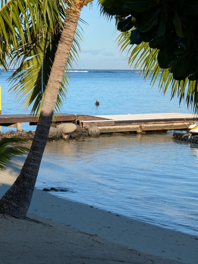 50.Tag 23.2.25 Moorea