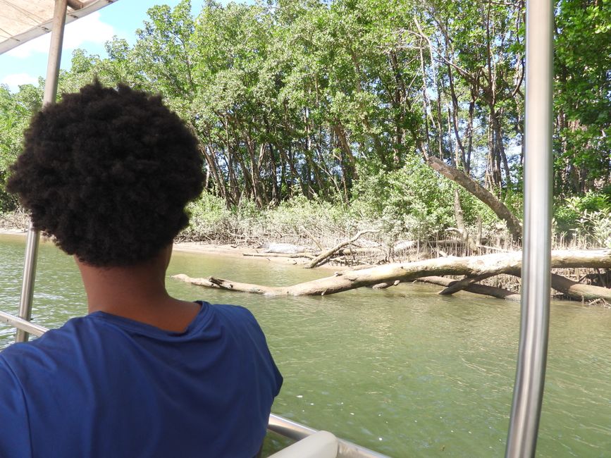 Tag 30, 24. Mai: Ultima crociera sul fiume Daintree