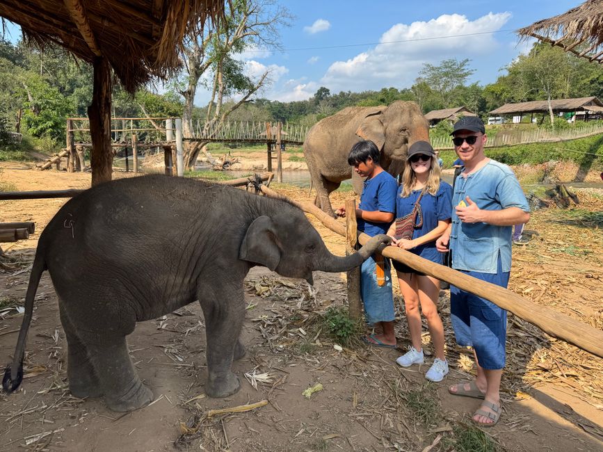  Besuch bei geretteten Elefanten