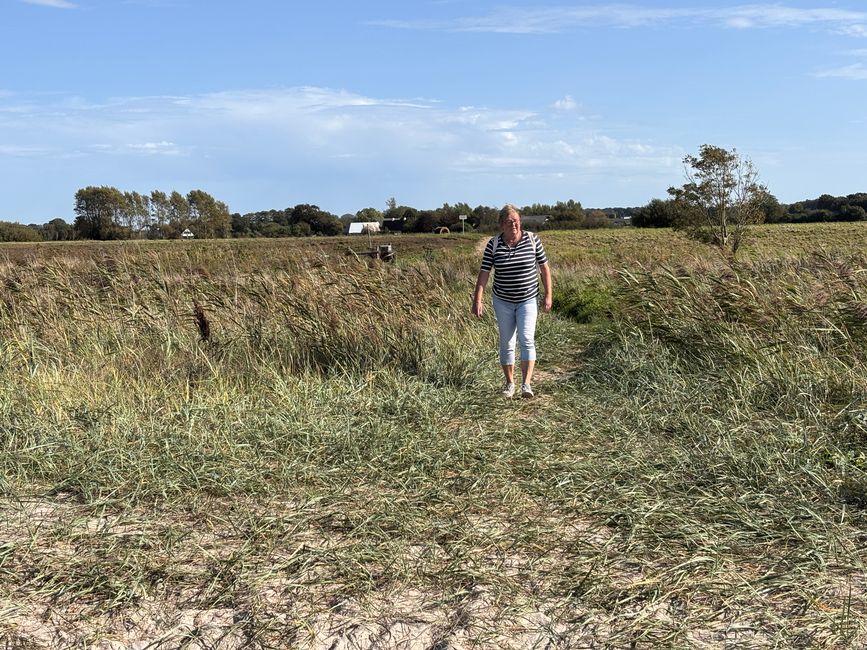 Weg zum Strand