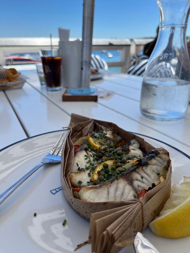 Watsons Bay – Wo Meer, Licht und Geschmack verschmelzen