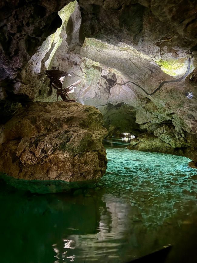 📍Wimsener Höhle/📍Wimsen Cave