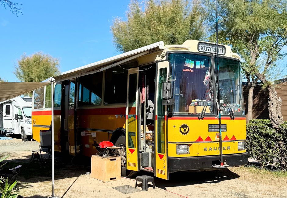 Ein besonderes Schätzchen unter unseren Nachbarn.