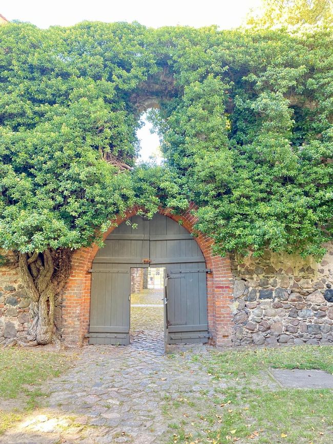 Zehdenick as the Finale – and the next journey is already waiting