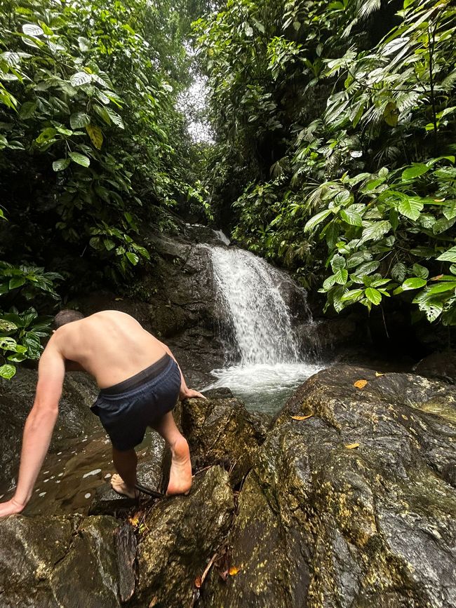 Cascate