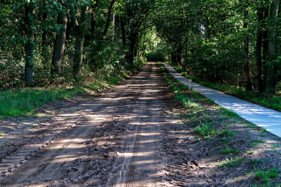Radfahren in der Veluwe