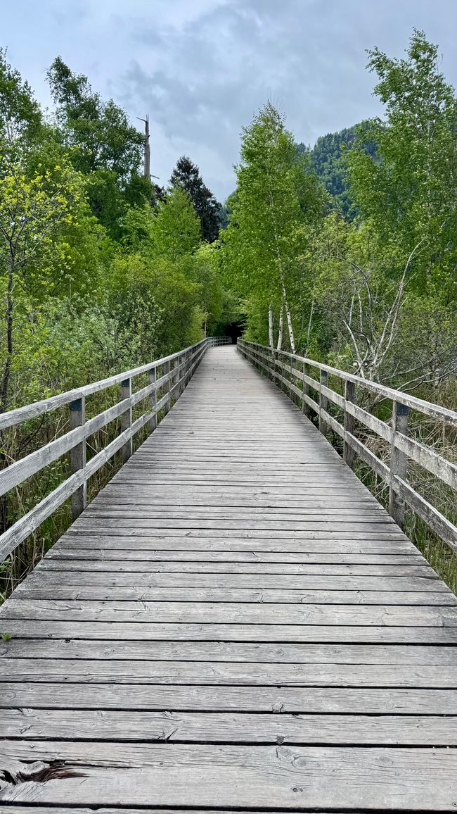 Von Freiburg nach Interlaken - Städtetour, Wings for Life & Wanderglück