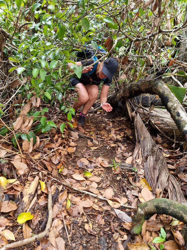 Seychellen - Tag 3: Insel Mahe Süden