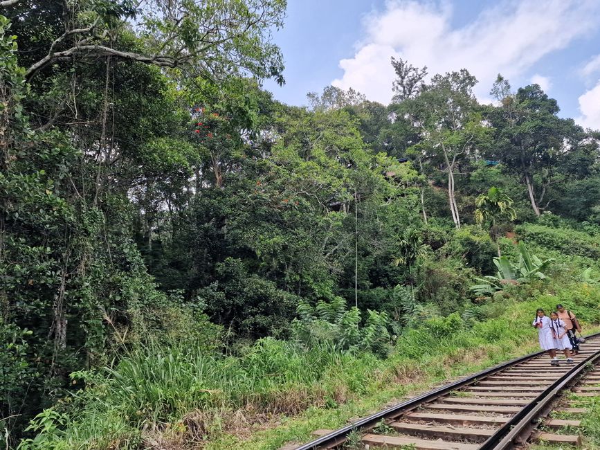Adam's Peak