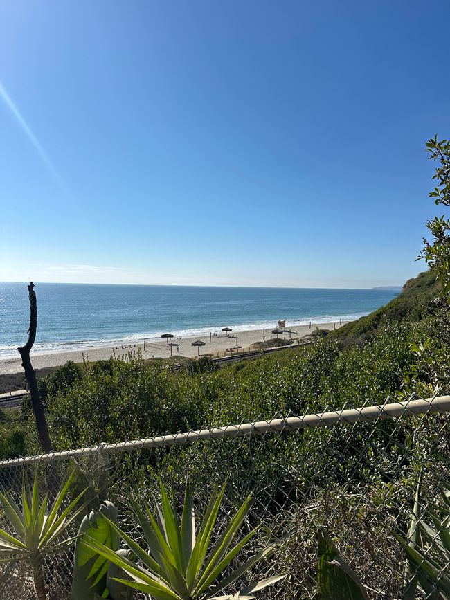 Centro de LA/ San Clemente/San Diego/Paracaidismo ❤️