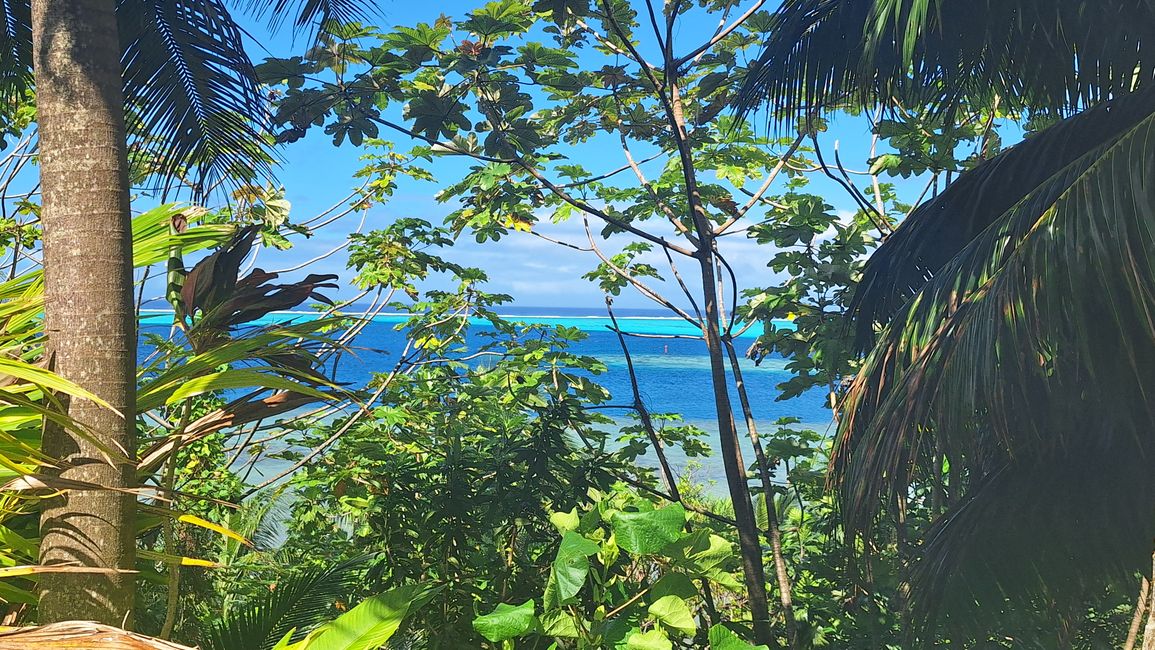 Willkommen im Paradies // welcome to paradise