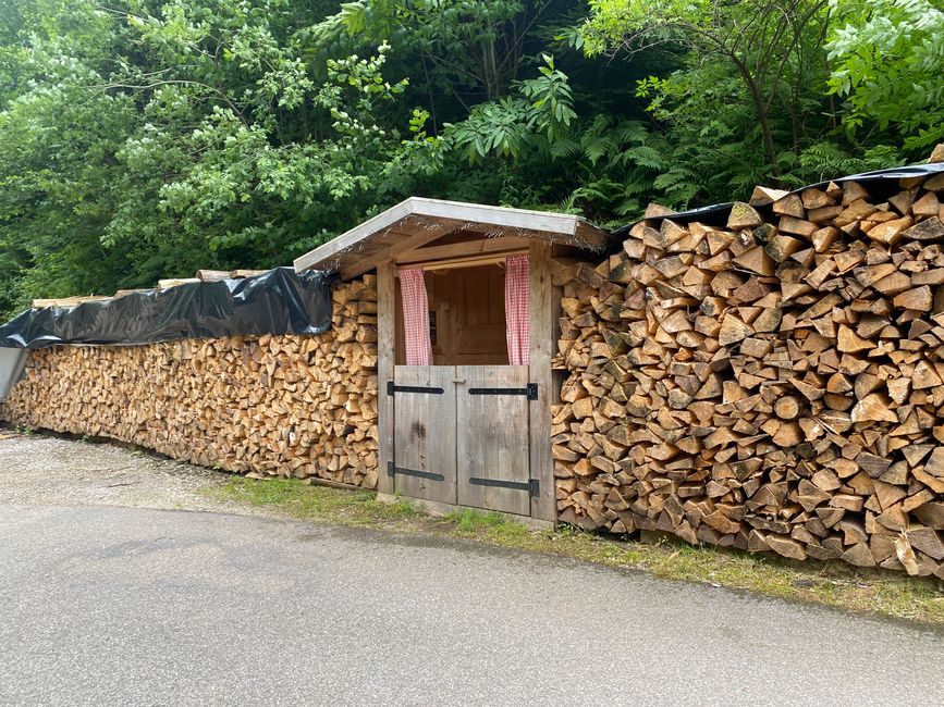 Der Weg zur Alm