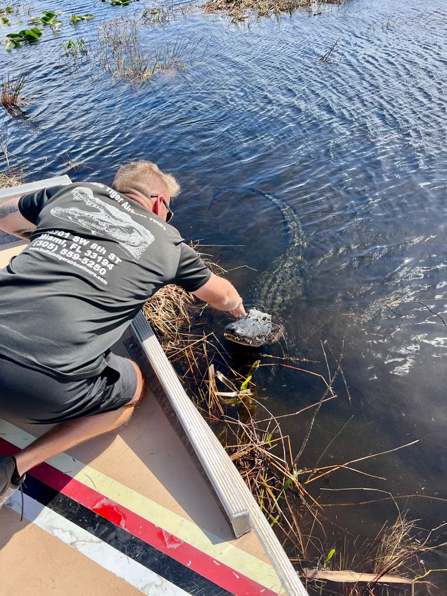 Tag 375 - Airboat-Tour @ Everglades